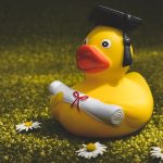 Купить диплом университета быстро и без лишних хлопот image_731.jpg