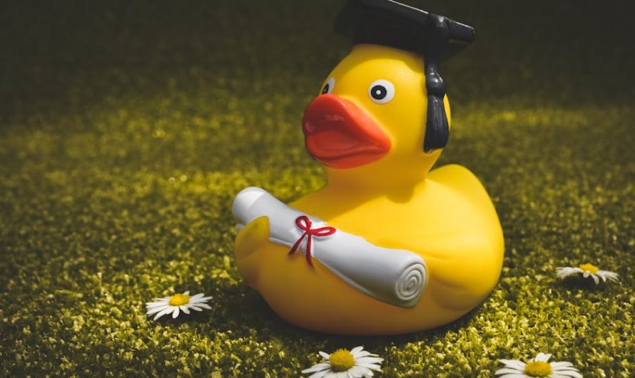 Купить диплом университета быстро и без лишних хлопот